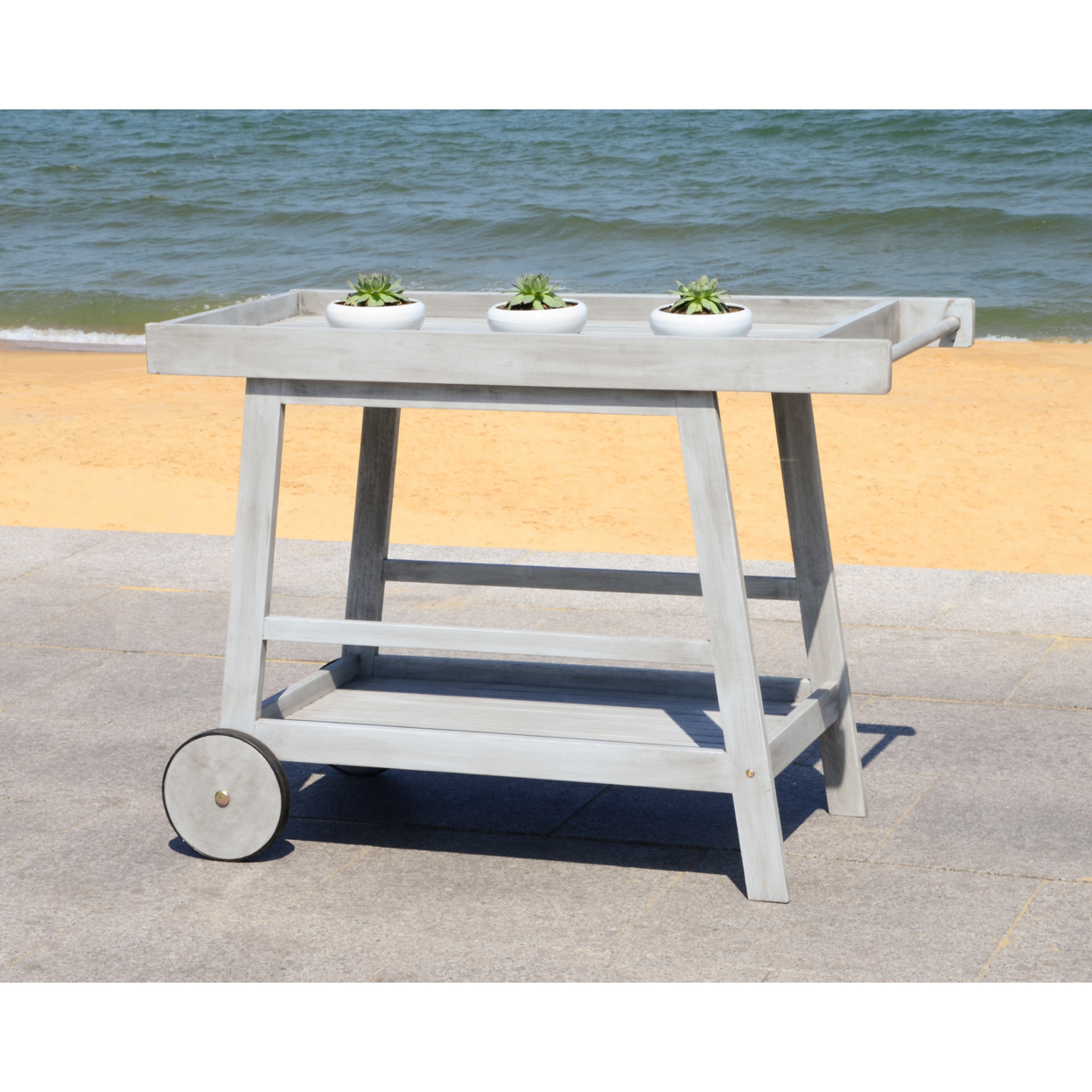 SAFAVIEH Outdoor Collection Renzo Indoor/Outdoor Bar Cart Grey Wash