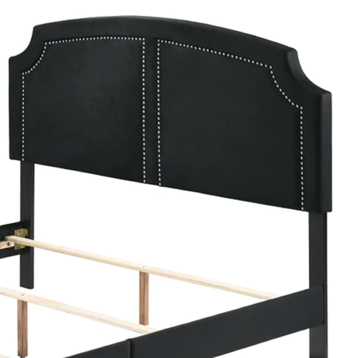 Lily Platform Queen Upholstered Bed, Padded Headboard, Black, Gold- Saltoro Sherpi