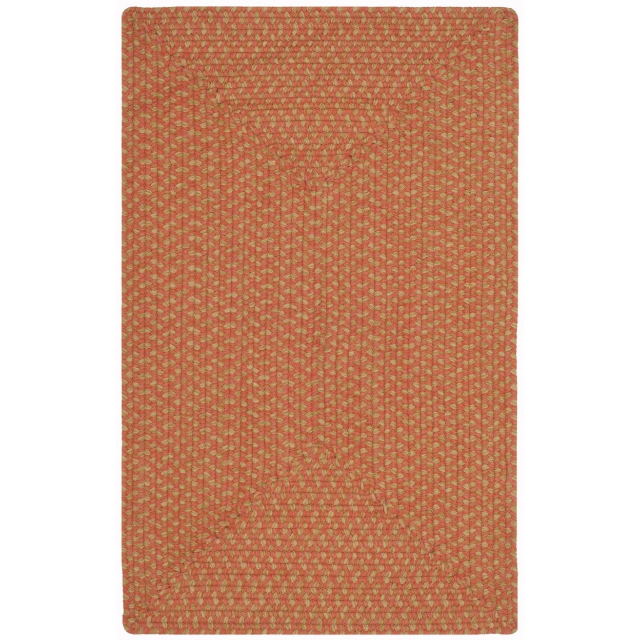 SAFAVIEH Braided Collection BRD168A Handwoven Multi Rug - 2' 6 X 4'