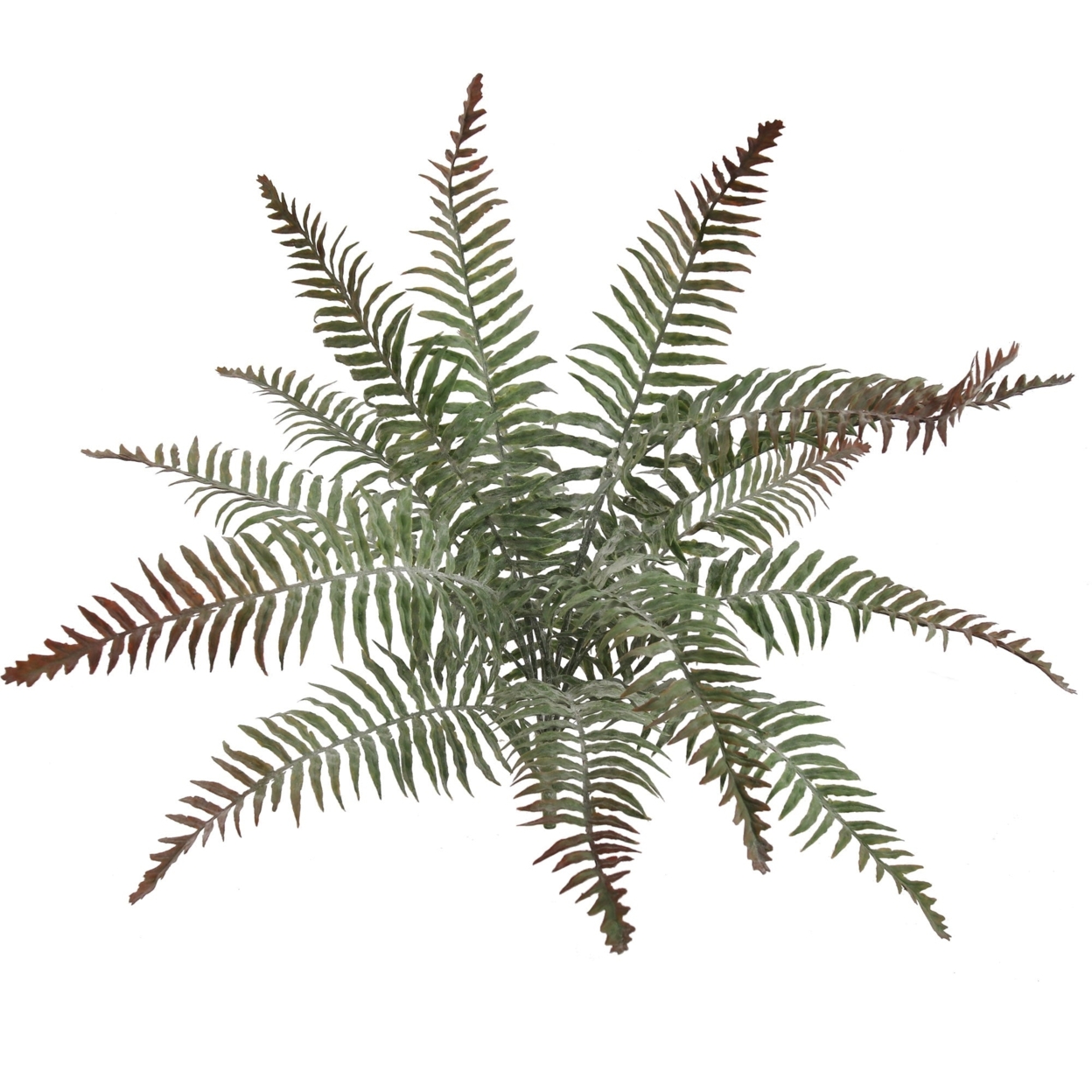 Artificial All Weather Boston Fern (15 Fronds)-22" - 4 Pieces