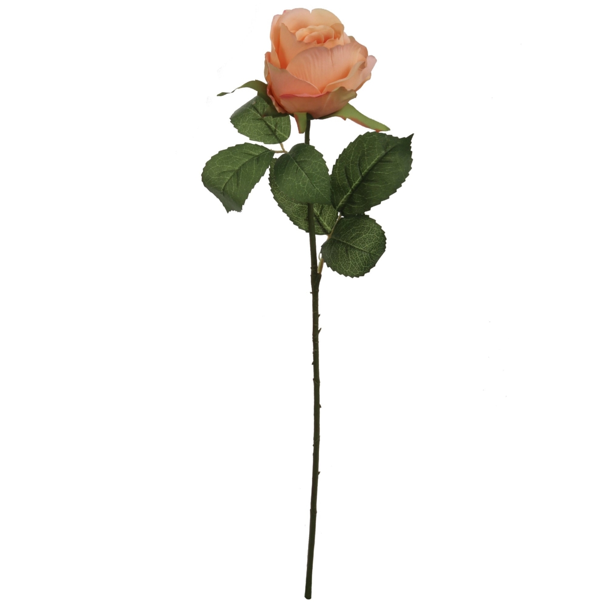 Artificial Apricot Rose Bud-20'' - 24 Pieces