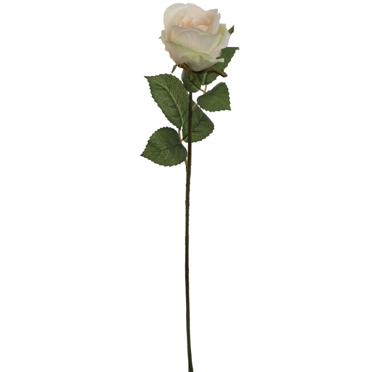 Artificial Champagne Rose Bud-20" - 24 Pieces