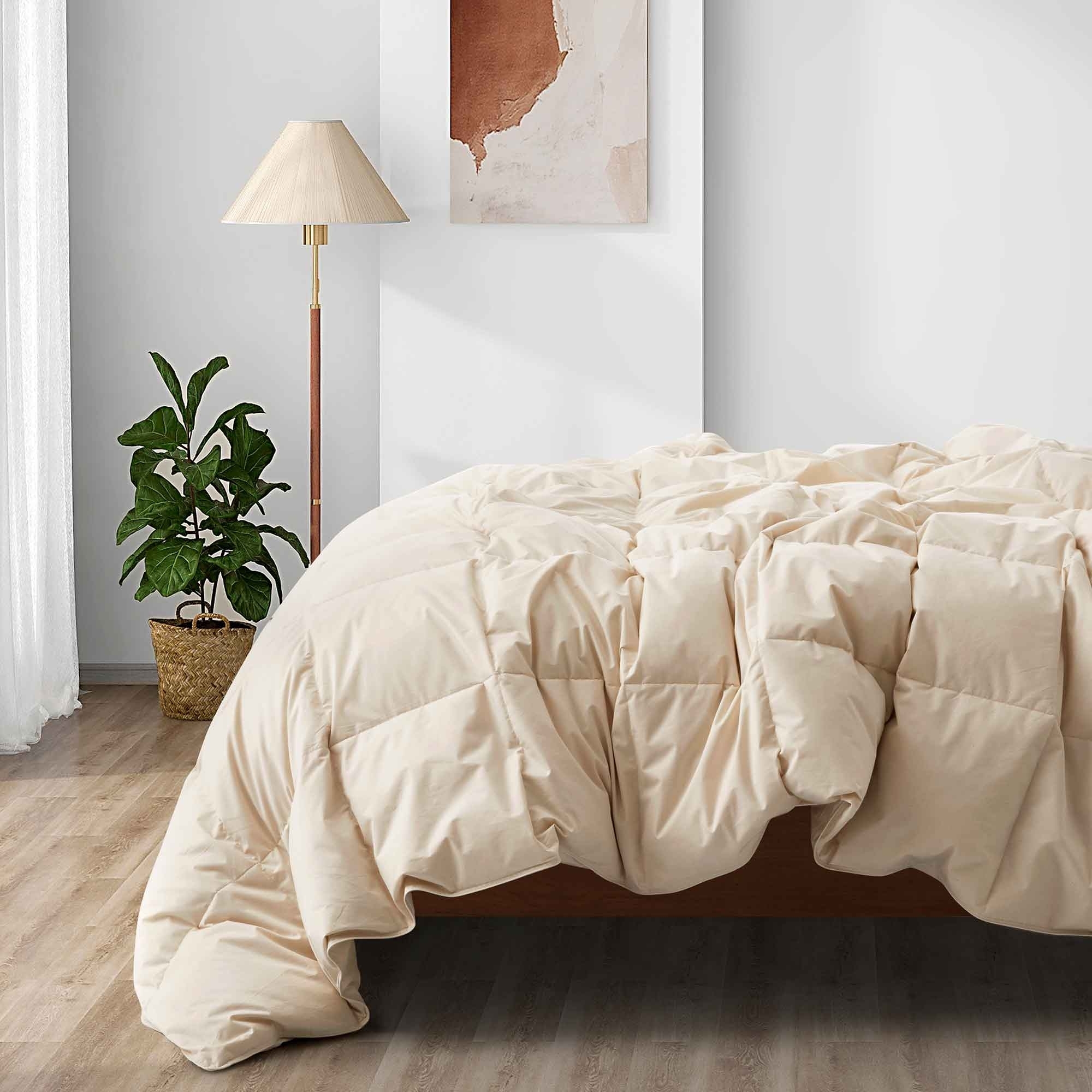 All Season Organic Cotton Comforter Filled With Down And Feather Fiber - Off White, King