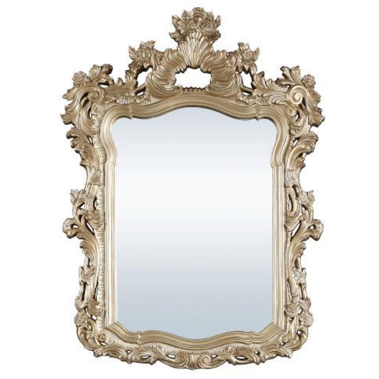 56 Inch Wall Mirror, Ornate Carving, Champagne Gold- Saltoro Sherpi
