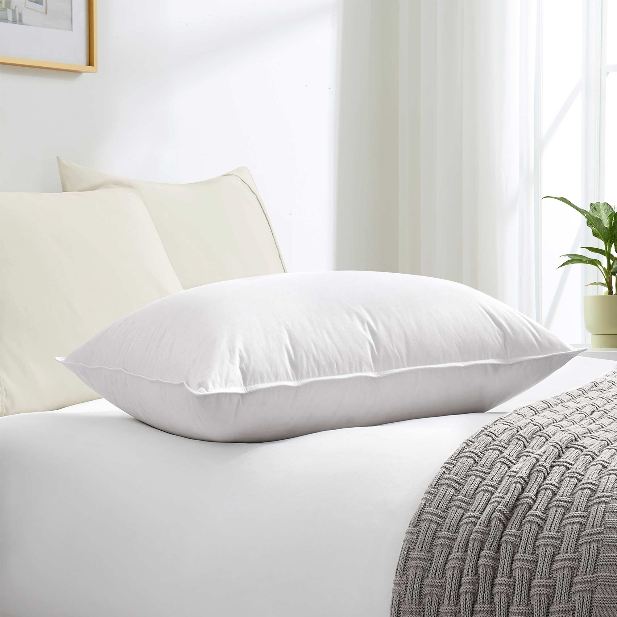 Made In Germany European Down Pillow - White, Standard/Queen