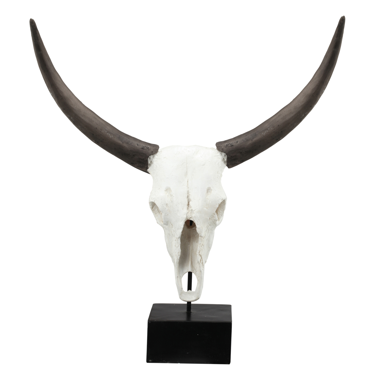 26 Inch Resin Cow Skull Accent Table Decoration, Metal Block Base, White- Saltoro Sherpi