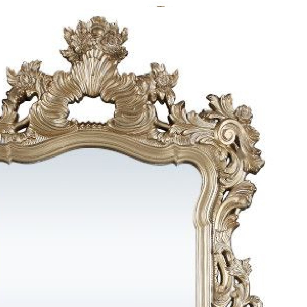 56 Inch Wall Mirror, Ornate Carving, Champagne Gold- Saltoro Sherpi