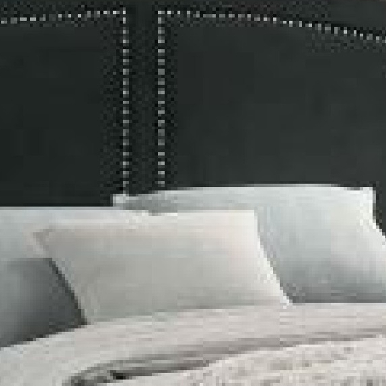 Lily Platform King Upholstered Bed, Padded Headboard, Black, Gold- Saltoro Sherpi