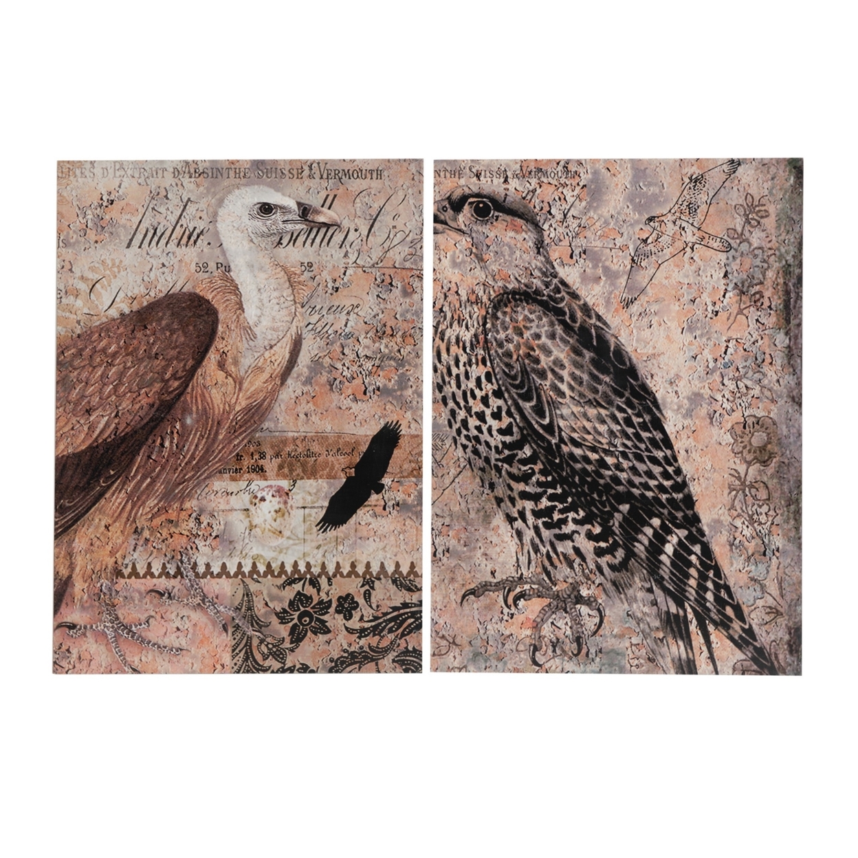 Exotic Birds Prints - Set Of 2- Saltoro Sherpi