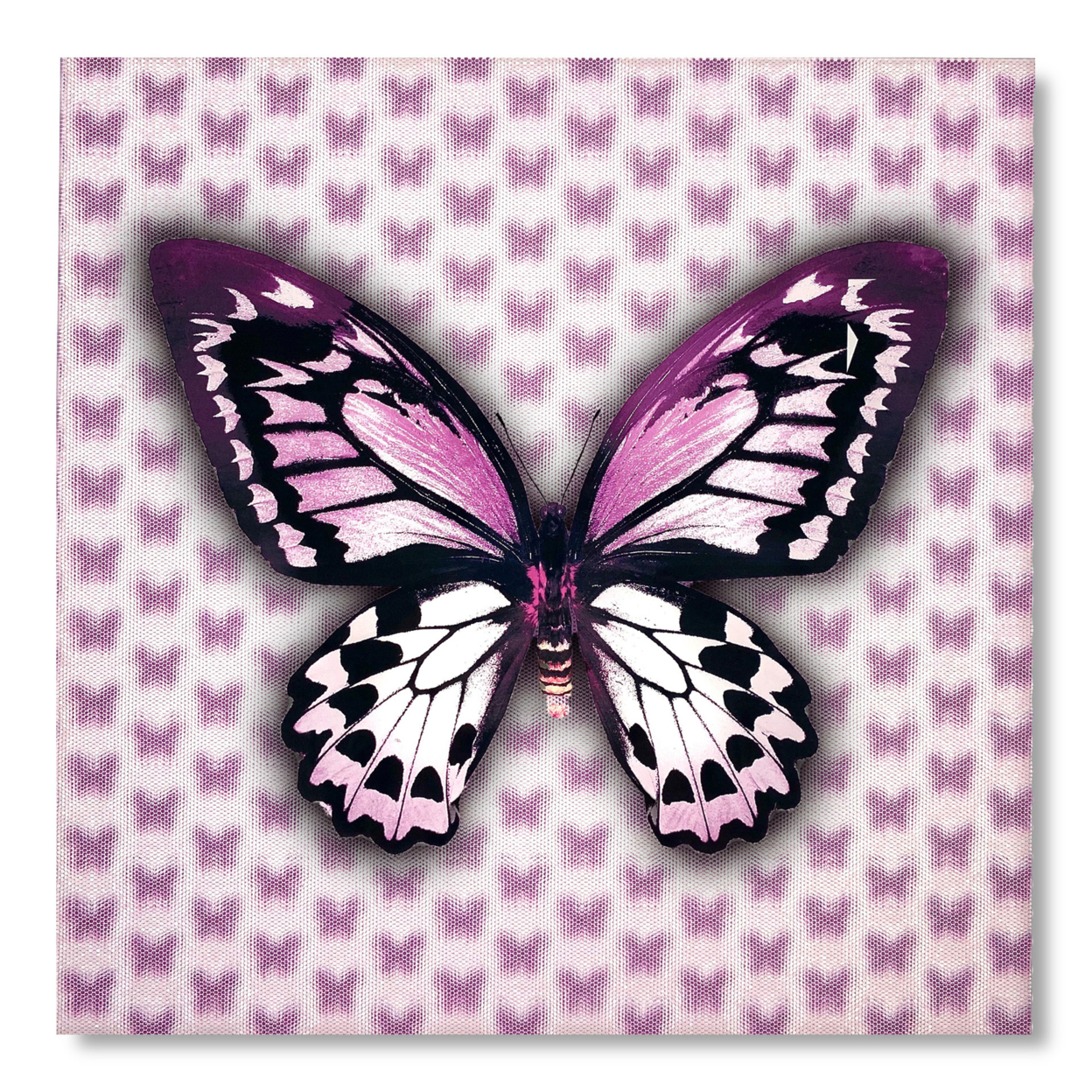 5D Multi-Dimensional Custom Made Purple Butterfly Wall Art Print On Strong Polycarbonate Panel - Lenticular Artwork By Matashi (12x12 Inch)