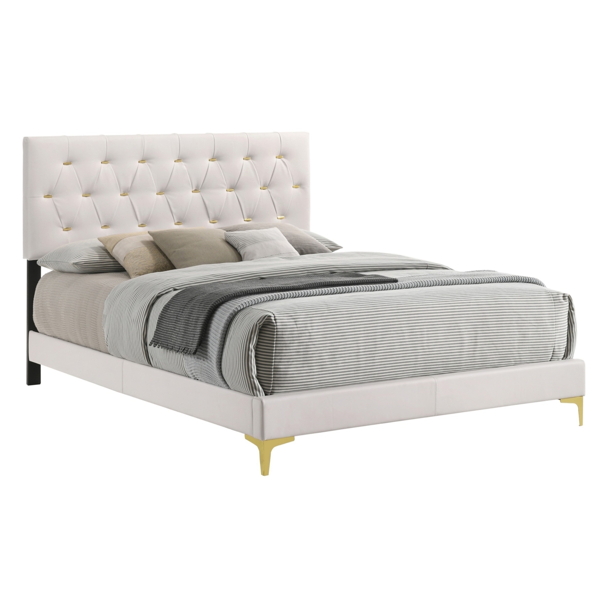 Lif Platform Queen Size Bed, Panel Tufted Headboard, Gold Legs White Velvet- Saltoro Sherpi