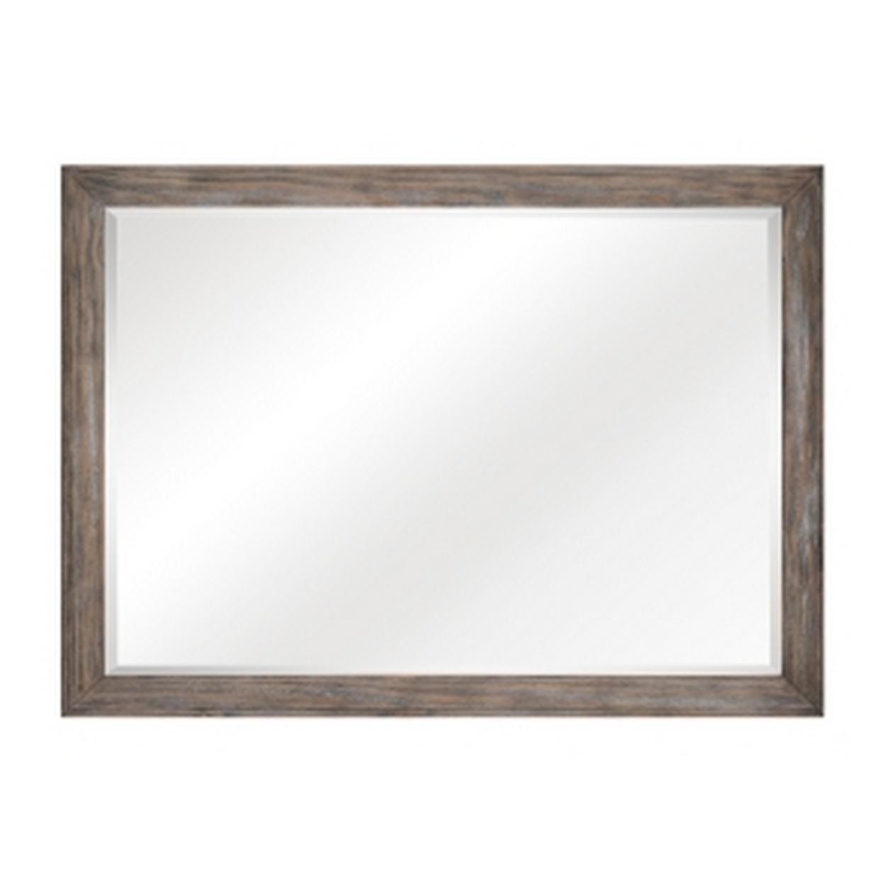 Cady 50 Inch Classic Accent Mirror, Recessed Picture Frame Molding, Gray- Saltoro Sherpi