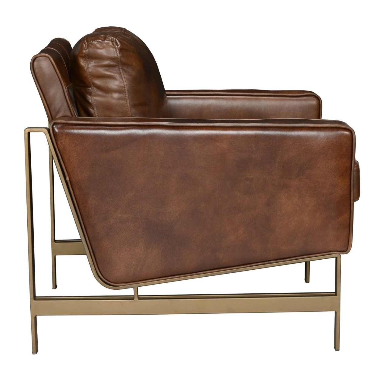 34 Inch Classic Accent Club Chair, Top Grain Leather, Brass Frame, Brown- Saltoro Sherpi