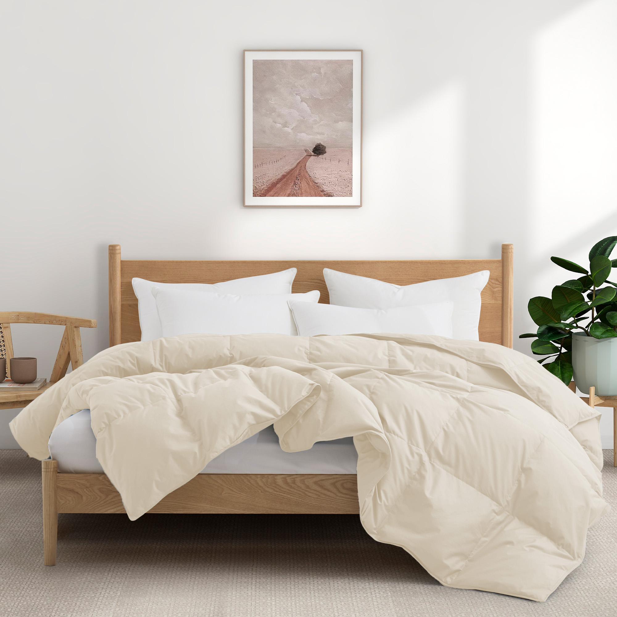 All Season Organic Cotton Comforter Filled With Down And Feather Fiber Twin Size - Off White