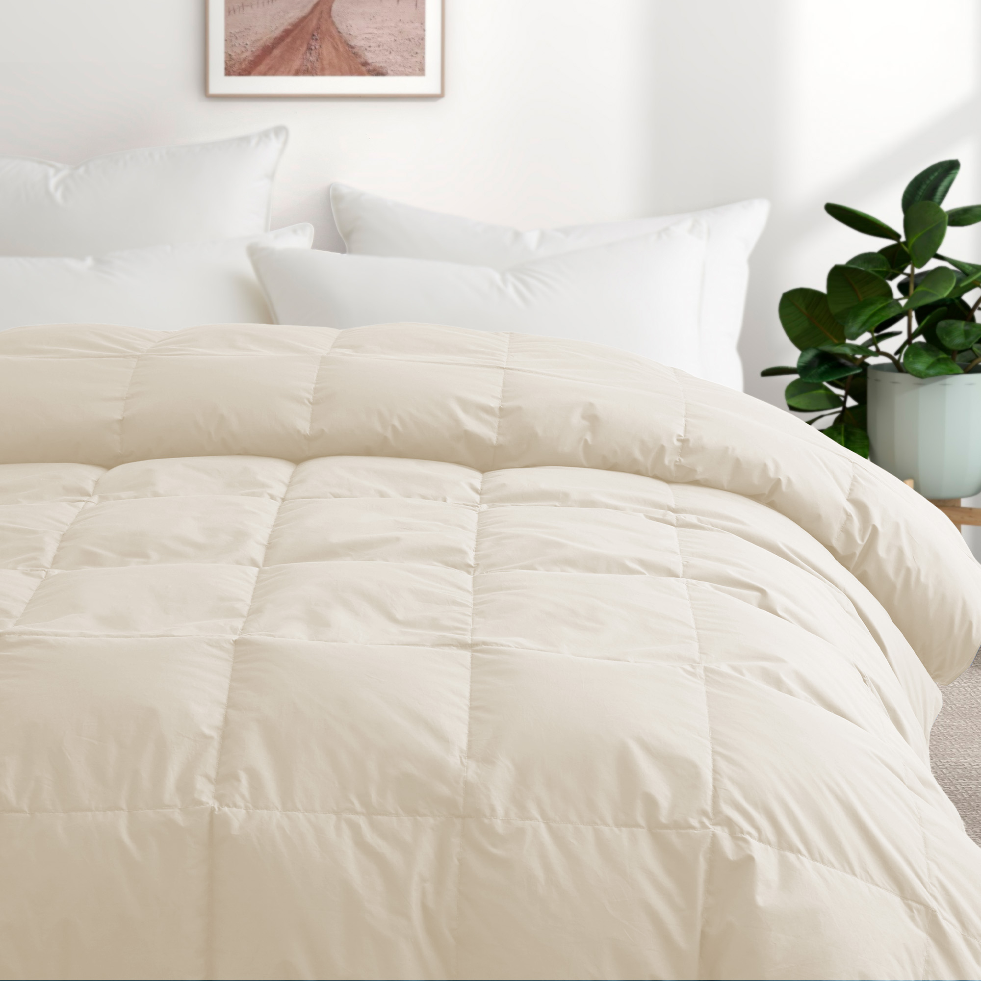 All Season Organic Cotton Comforter Filled With Goose Down And Feather Fiber King Size - Gray