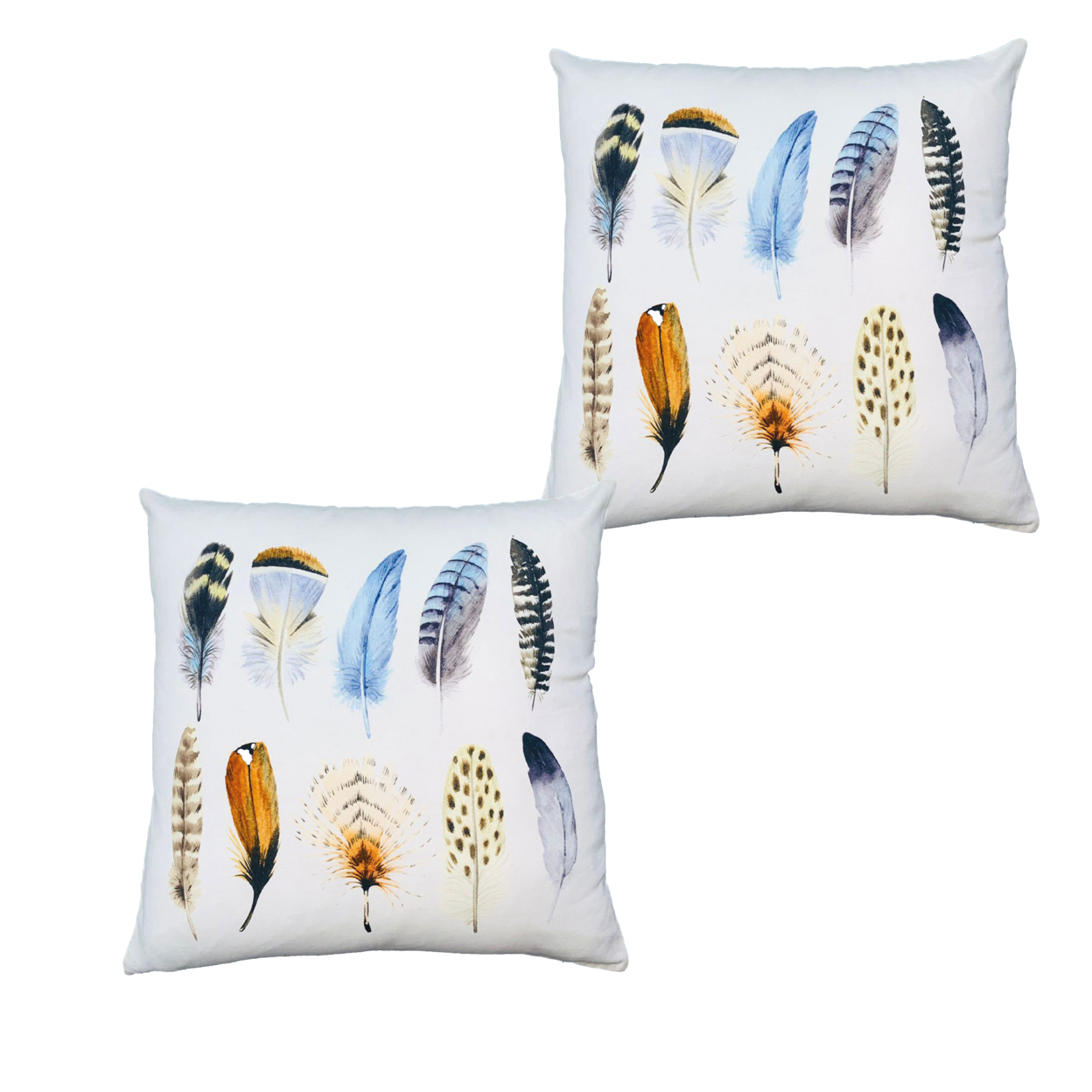 20 X 20 Square Cotton Accent Throw Pillows, Printed Feather Design, Set Of 2, White, Multicolor