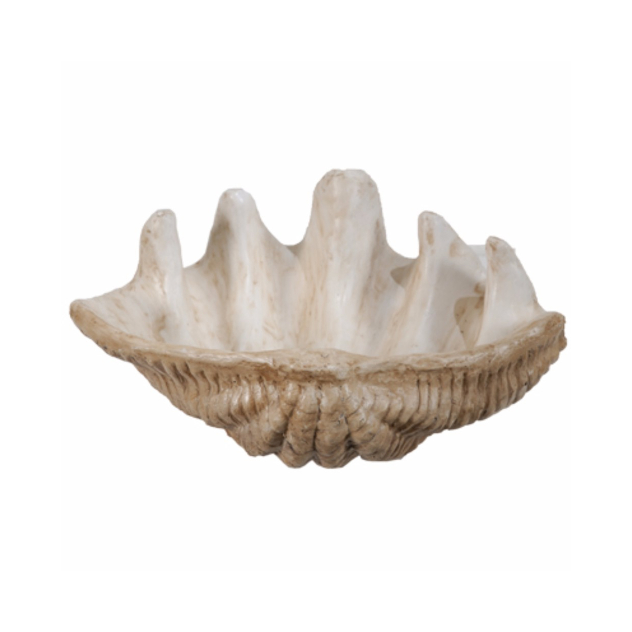 Medium Clam Shell Accent, White- Saltoro Sherpi