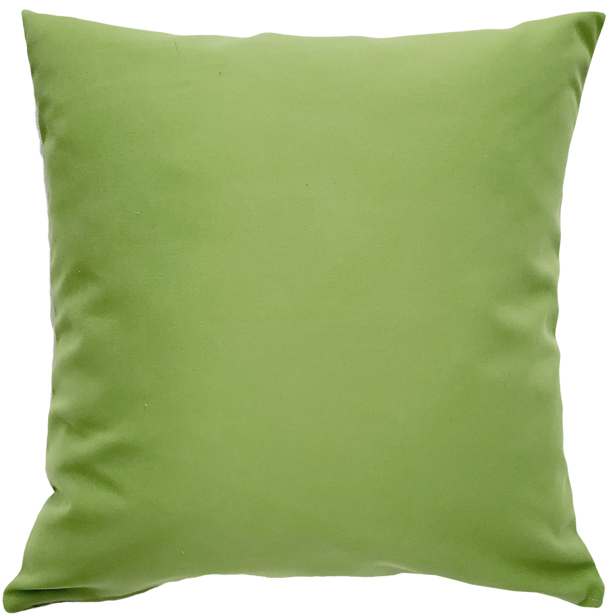 Sunbrella Ginko Green Outdoor Pillow 20x20, With Polyfill Insert