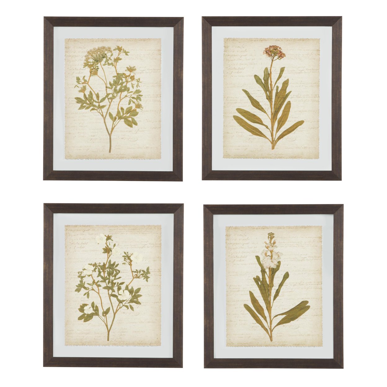 Wooden Frame Wall Art With Botanical Design, Set Of 4, Green And Brown- Saltoro Sherpi