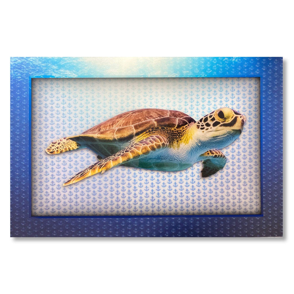 5D Multi-Dimensional Wall Art - Custom Made Turtle Wall Art Print On Strong Polycarbonate Panel W/ Vibrant Colors By Matashi (16x20 In)