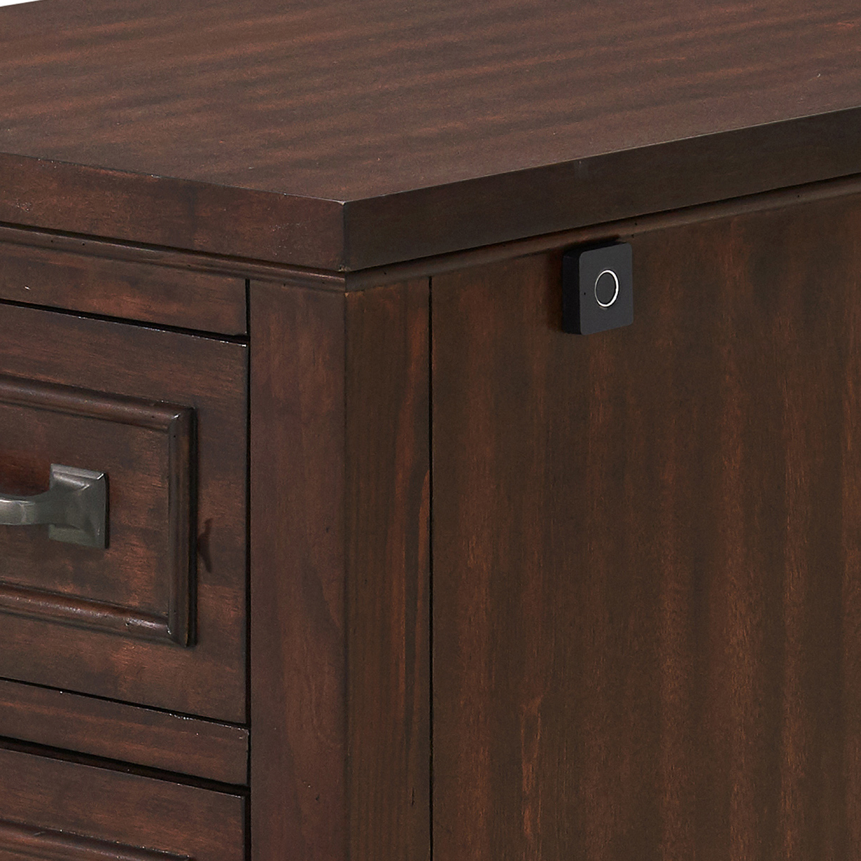 Eloise 23 Inch 2 Drawer File Cabinet With Fingerprint Biometric Lock, Brown- Saltoro Sherpi