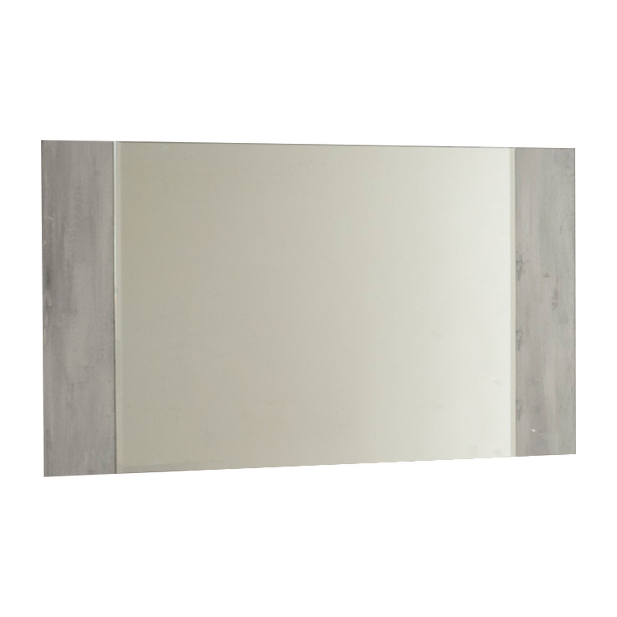 Noe Jiya 55 Inch Rectangular Mirror, Plank Frame, Gray- Saltoro Sherpi