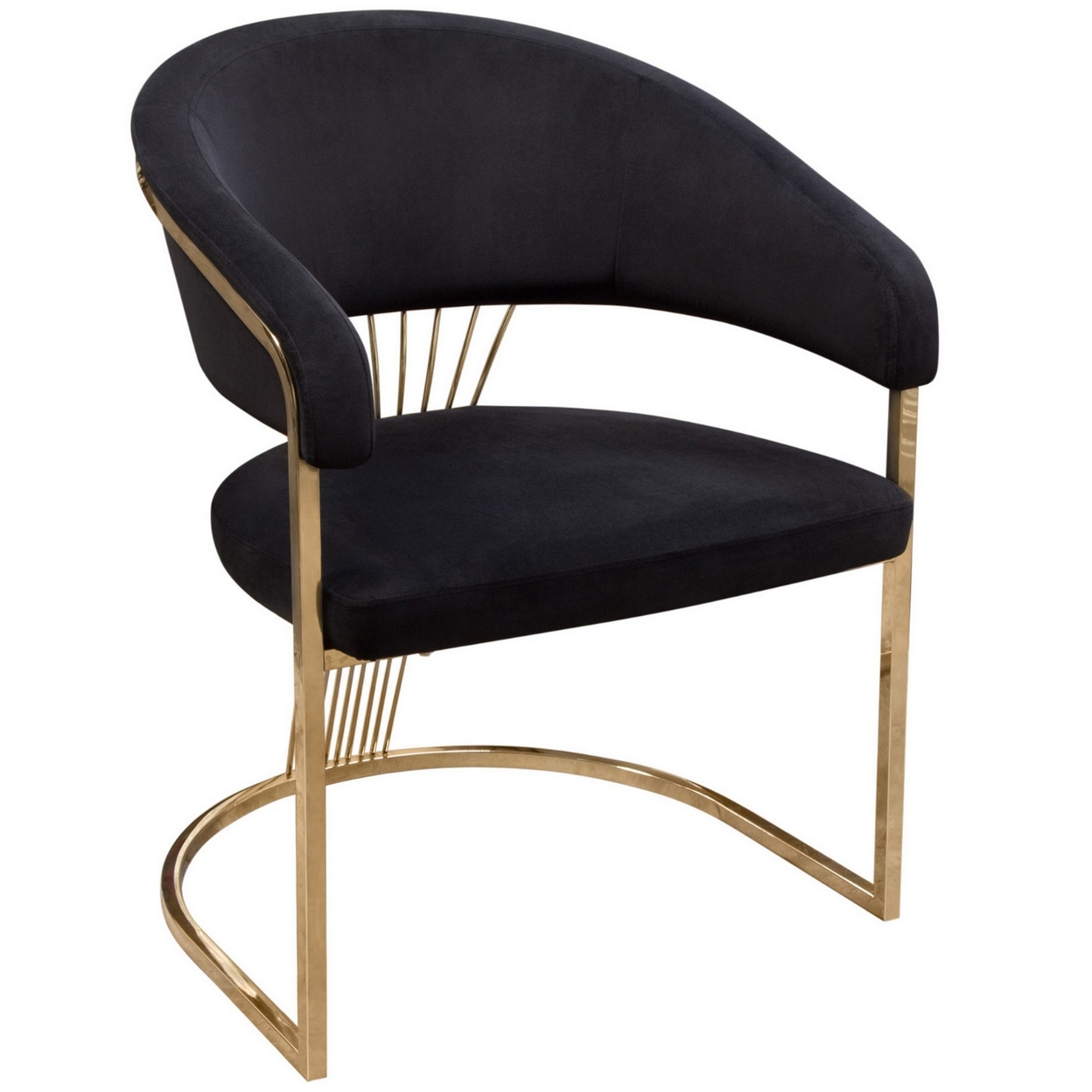 Emy 26 Inch Cantilever Barrel Dining Chair, Black Velvet Upholstery, Gold- Saltoro Sherpi
