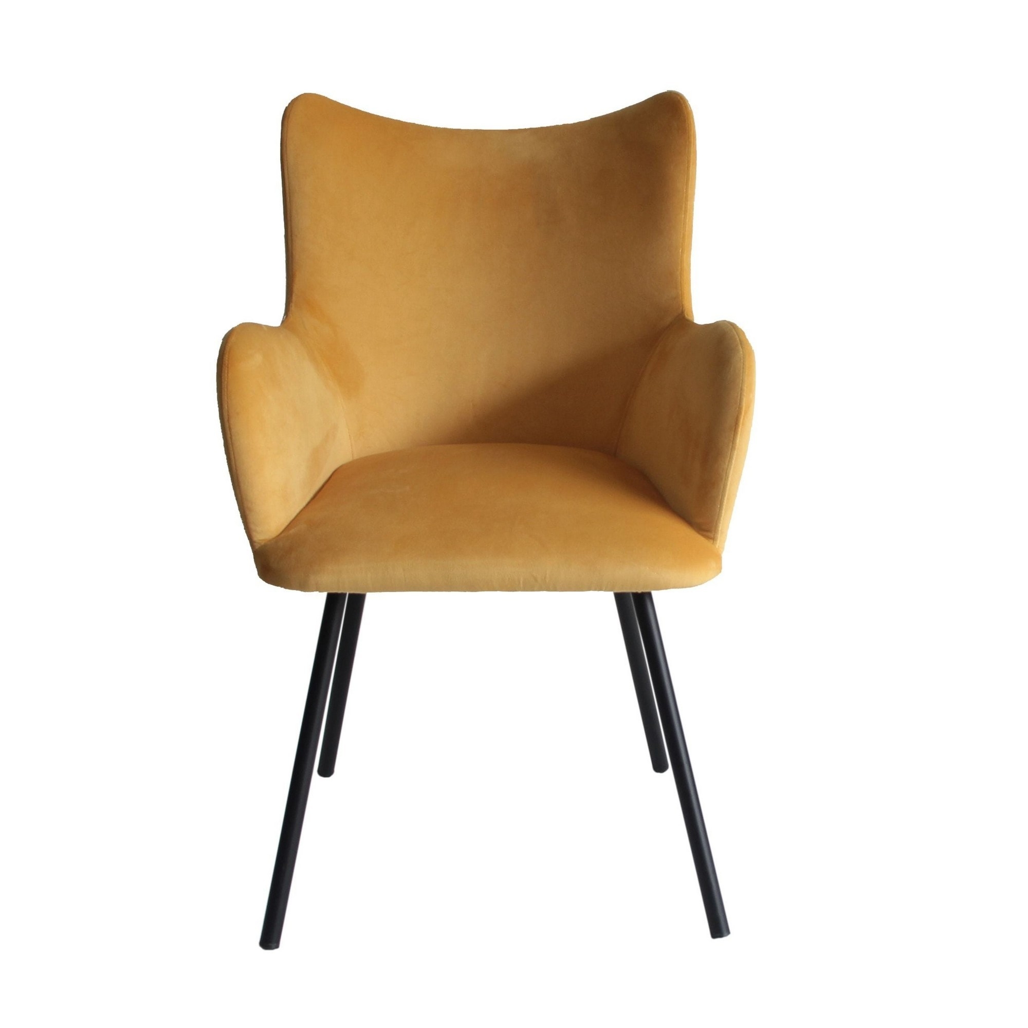 Cid 23 Inch Modern Dining Chair, Curved Back, Fabric, Metal Legs, Yellow- Saltoro Sherpi