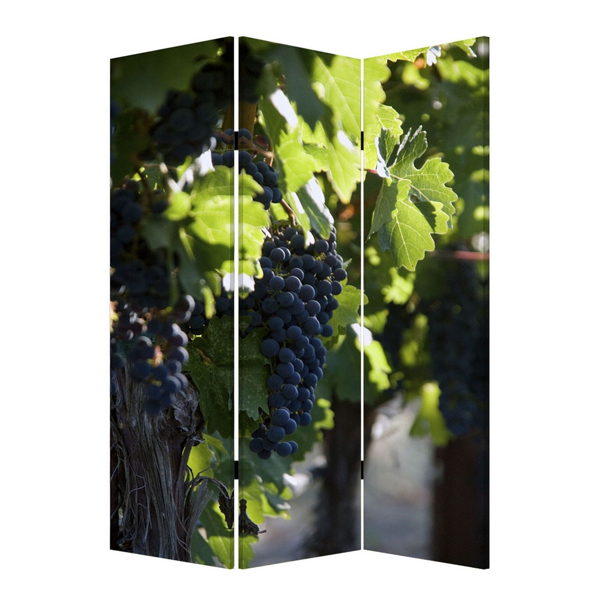 Grape Vine Print Foldable Canvas Screen With 3 Panels, Multicolor- Saltoro Sherpi