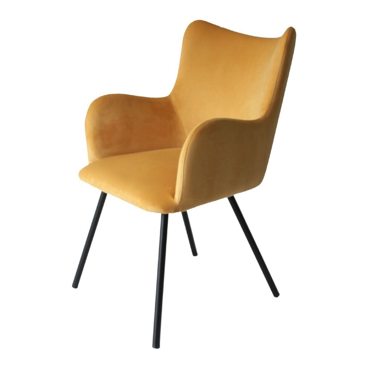 Cid 23 Inch Modern Dining Chair, Curved Back, Fabric, Metal Legs, Yellow- Saltoro Sherpi