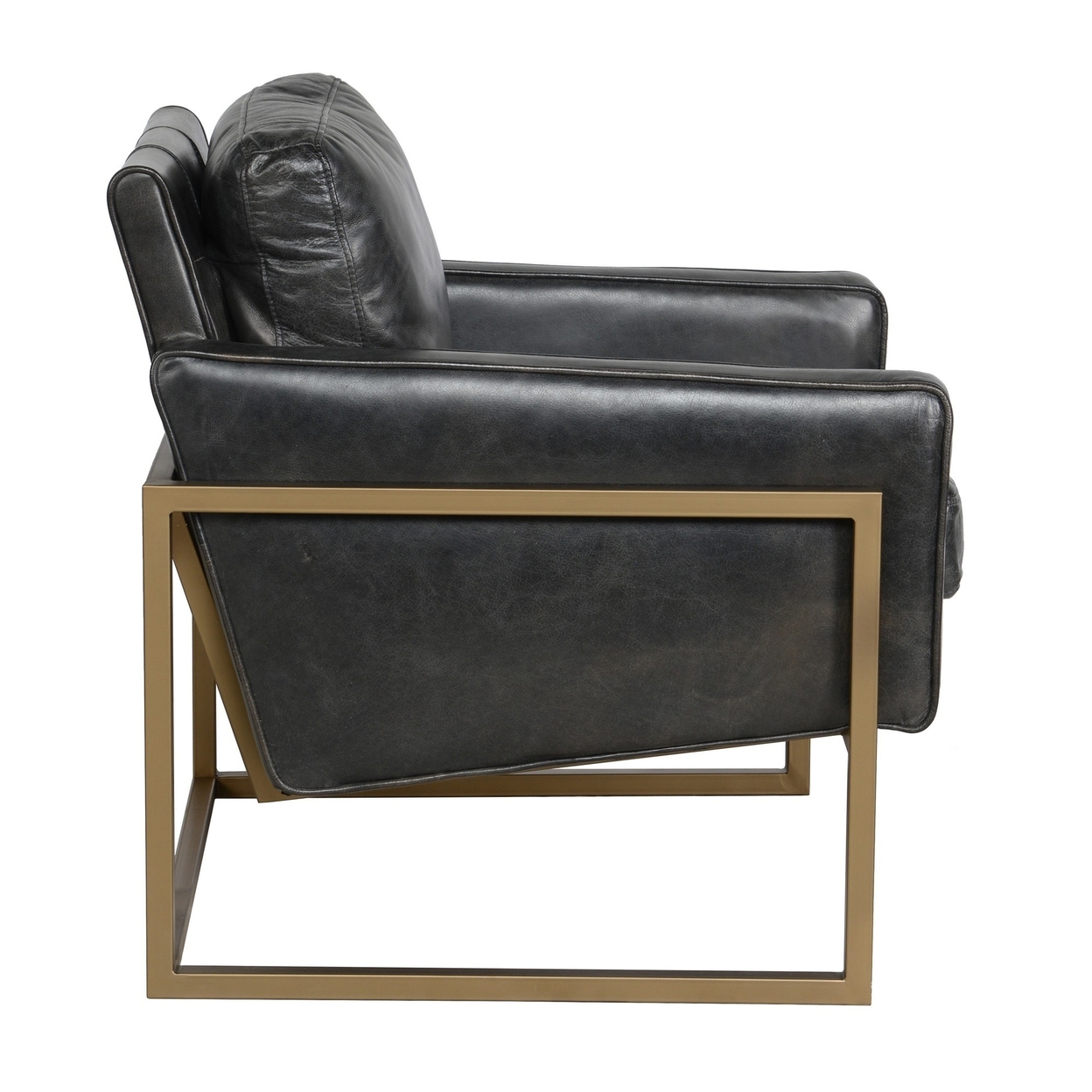 30 Inch Classic Club Chair, Top Grain Black Leather Upholstery, Brass Frame- Saltoro Sherpi