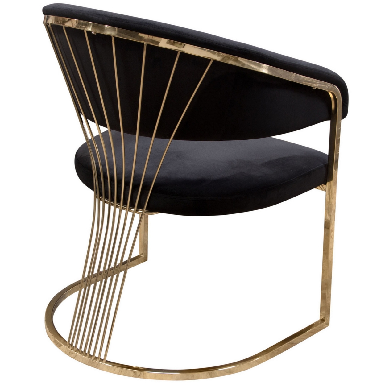 Emy 26 Inch Cantilever Barrel Dining Chair, Black Velvet Upholstery, Gold- Saltoro Sherpi