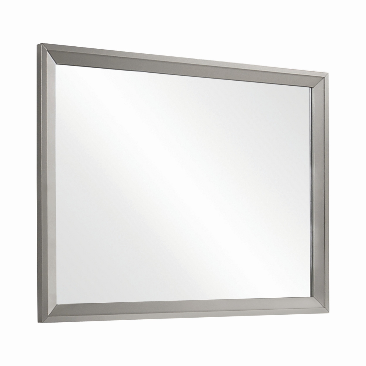 46 Inch Transitional Rectangular Wood Frame Mirror, Gray- Saltoro Sherpi