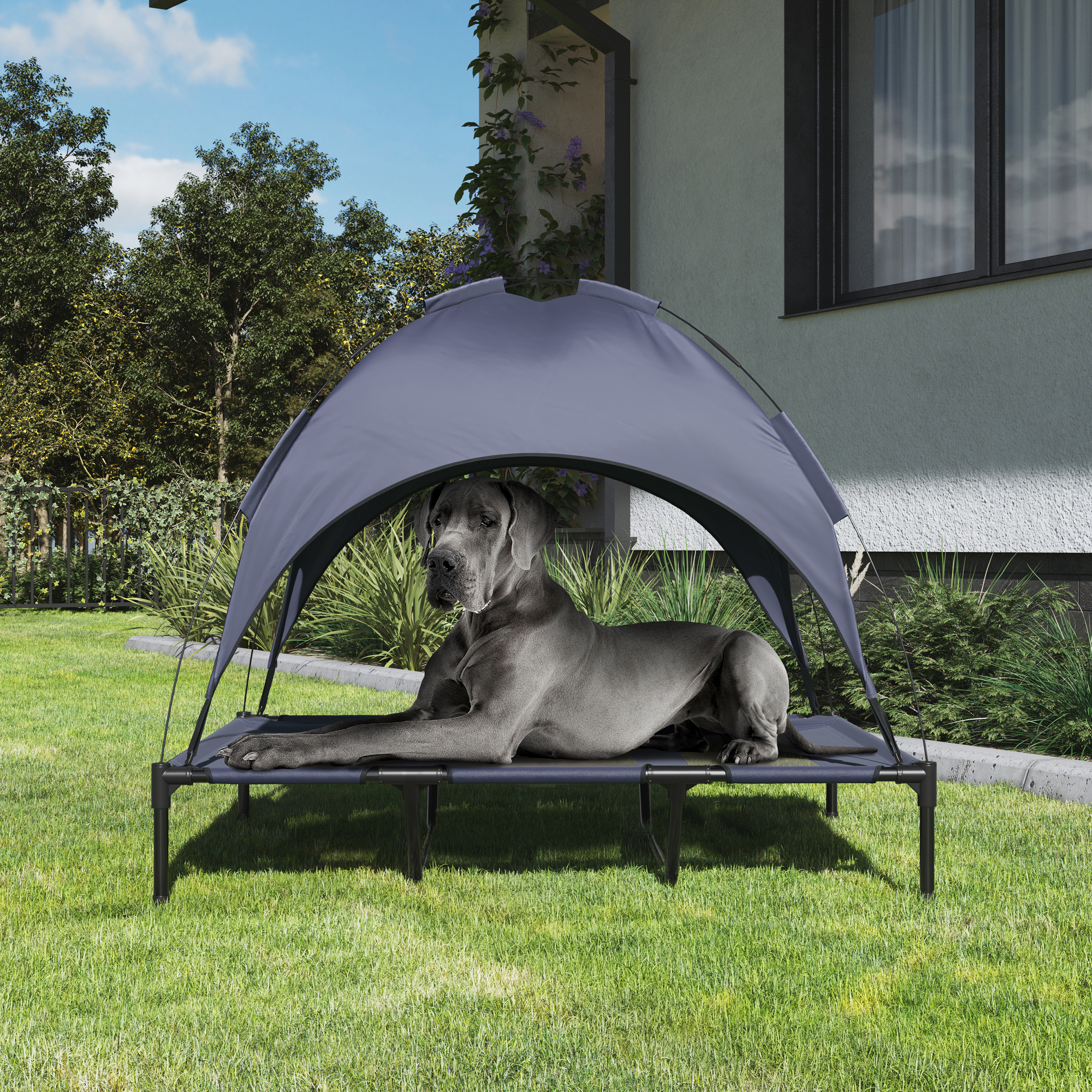 Elevated Dog Bed With Canopy - 48x36-Inch Portable Pet Bed With Non-Slip Feet - Indoor/Outdoor Dog Cot With Carrying Case By PETMAKER (Blue)