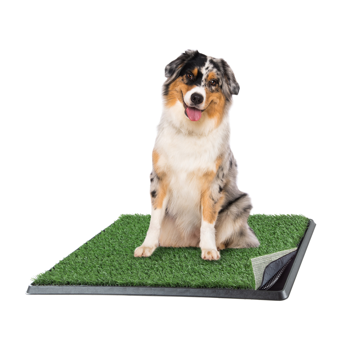 Artificial Grass Puppy Pee Pad Dogs 20x25 4-Layer Training Potty Pad With Tray