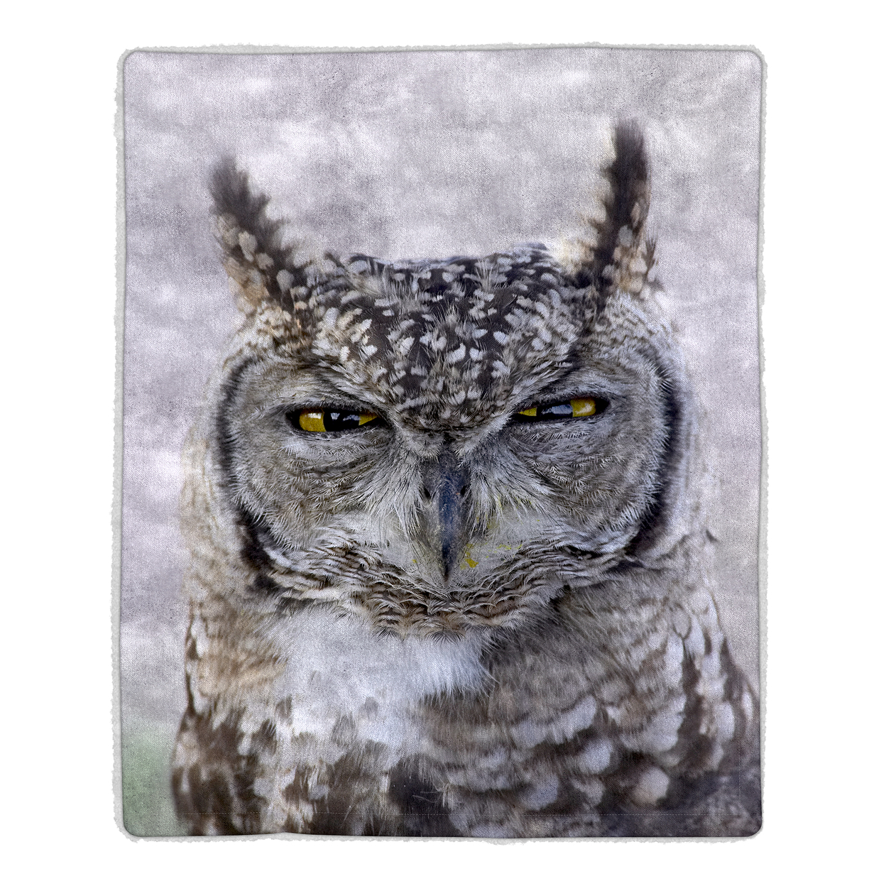 Sherpa Fleece Throw Blanket- Owl Print Lightweight Bed Or Couch Soft Snuggly