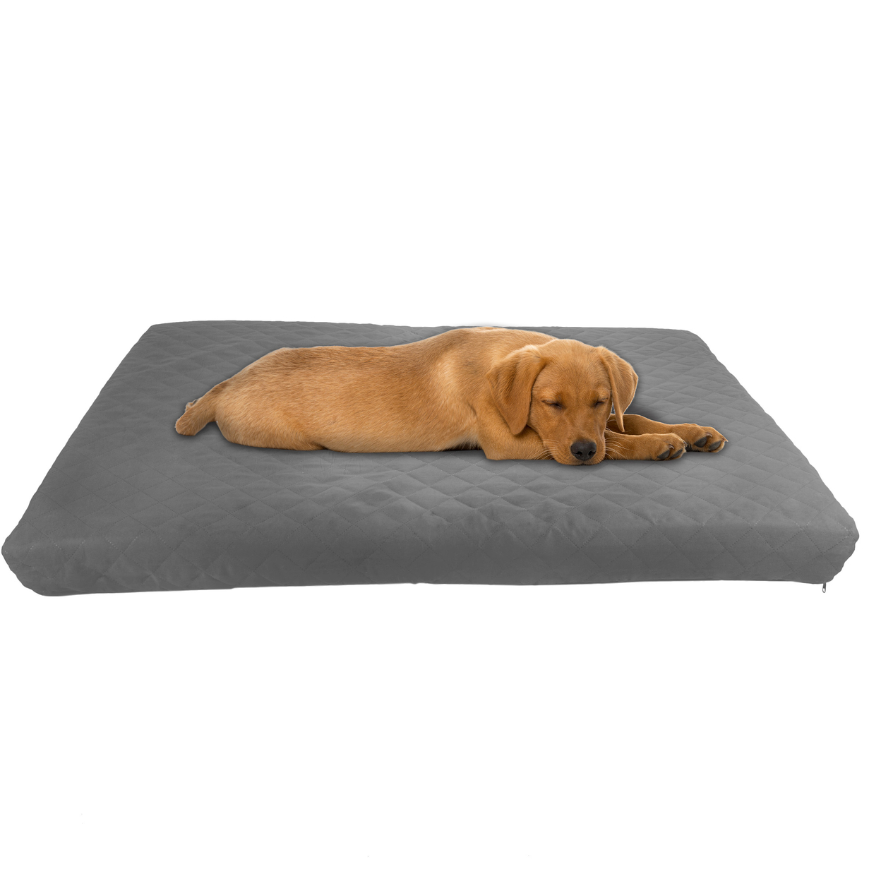 Waterproof Orthopedic Memory Foam Dog Pet Bed Washable Cover Non Slip Bottom - 36x27 Inches
