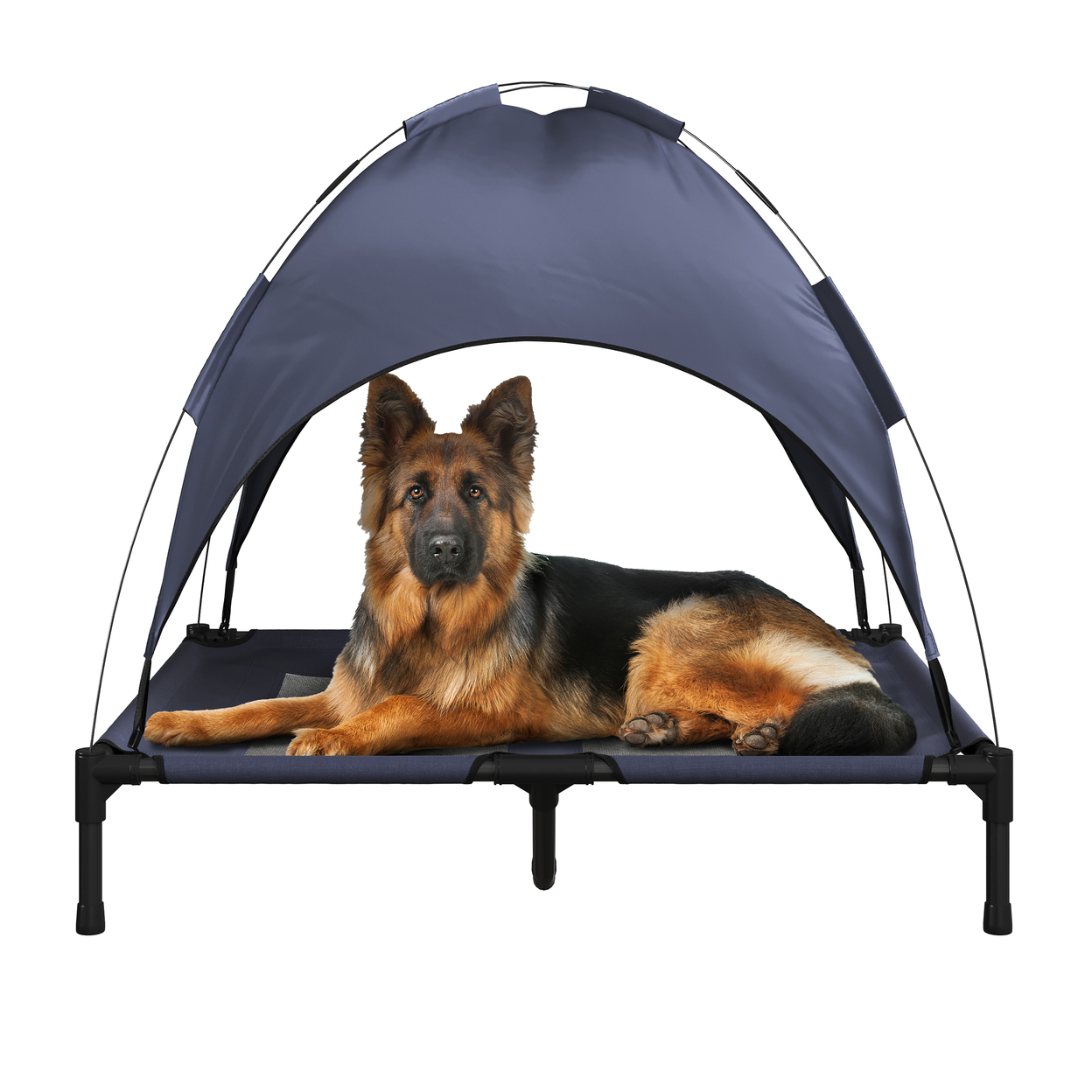 Elevated Dog Bed Canopy 36x30in Pet Bed Indoor/Outdoor Carrying Case, Blue