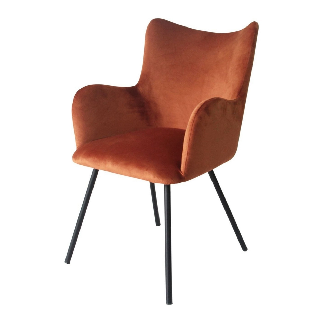 Cid 25 Inch Modern Dining Chair, Orange Velvet, Black Metal Legs- Saltoro Sherpi