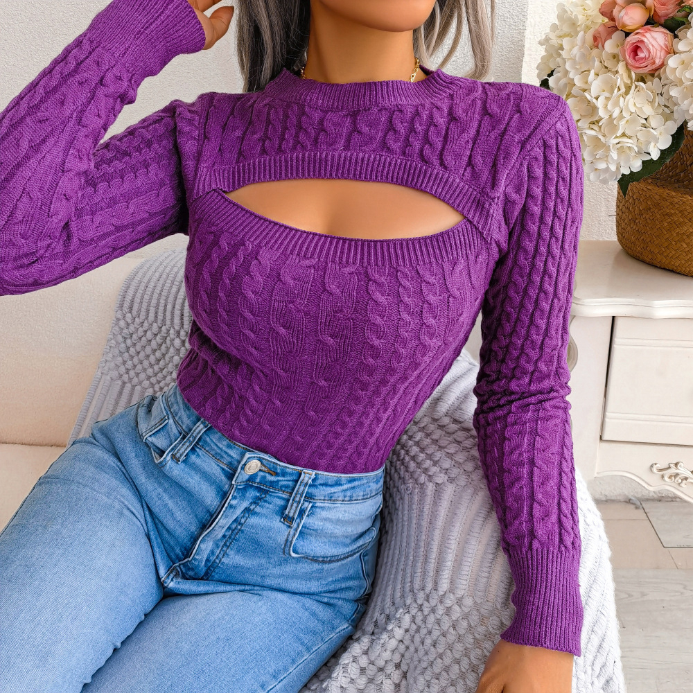 Hollow Twist Knit Sweater Casual Solid Crew Neck Slim Long Sleeve Bottoming Fall Winter Sweater Women's Clothing - Purple, L