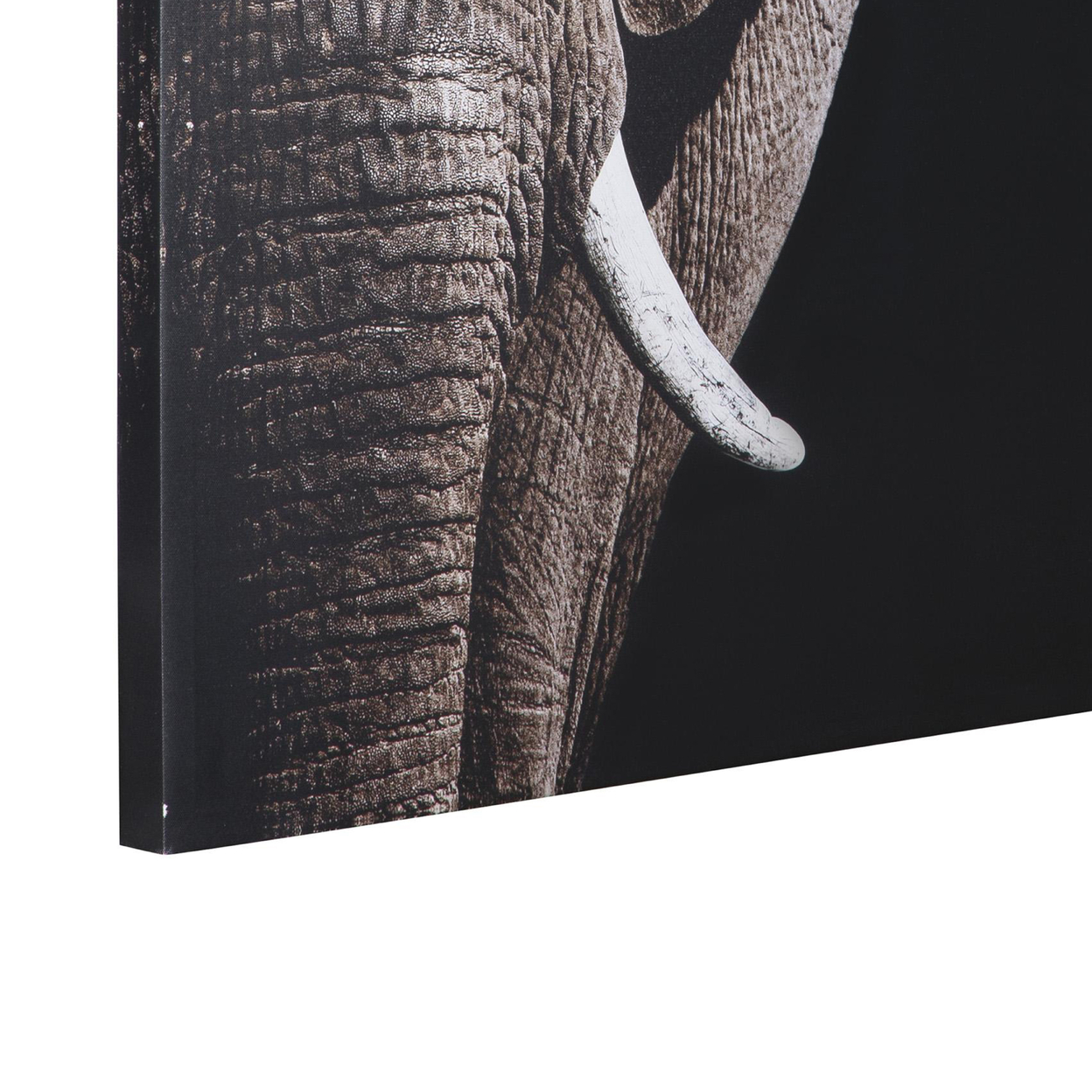 Gallery Wrapped Canvas Wall Art With Elephant Print, Gray And Black- Saltoro Sherpi